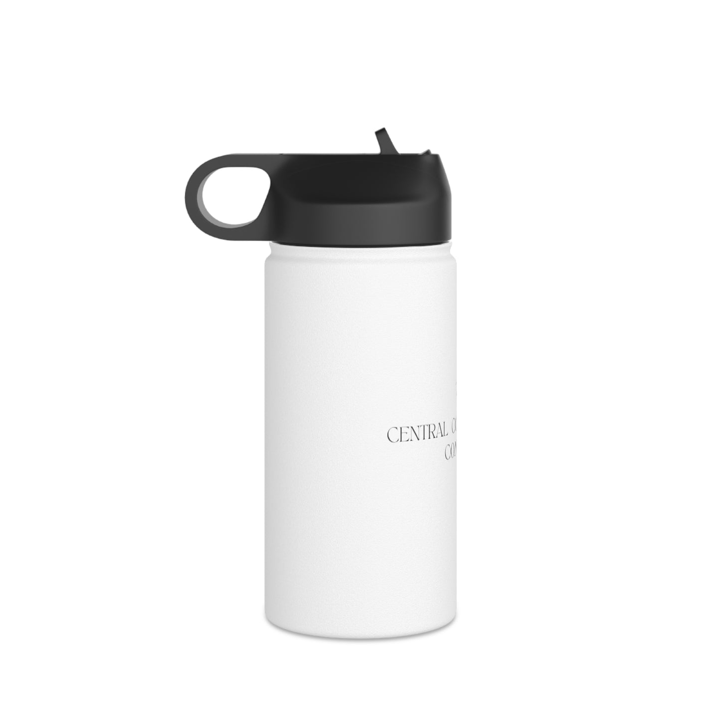 Stainless Steel Water Bottle